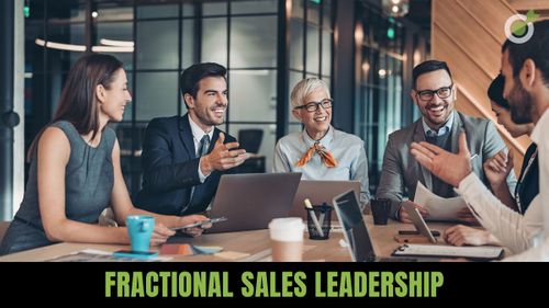 Fractional Sales Leadership