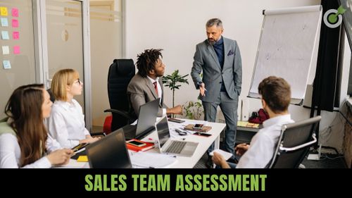 Sales Team Assessment