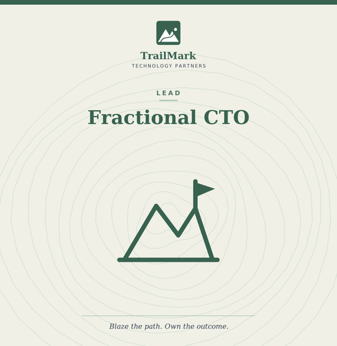 Fractional CTO