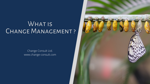 What is Change Management from an organisational perspective | Change Consult Ltd.