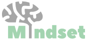 Mindset Mental Health Ltd
