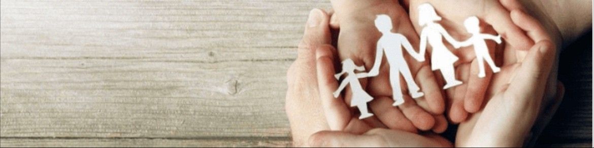 Wealth Dominator Solutions