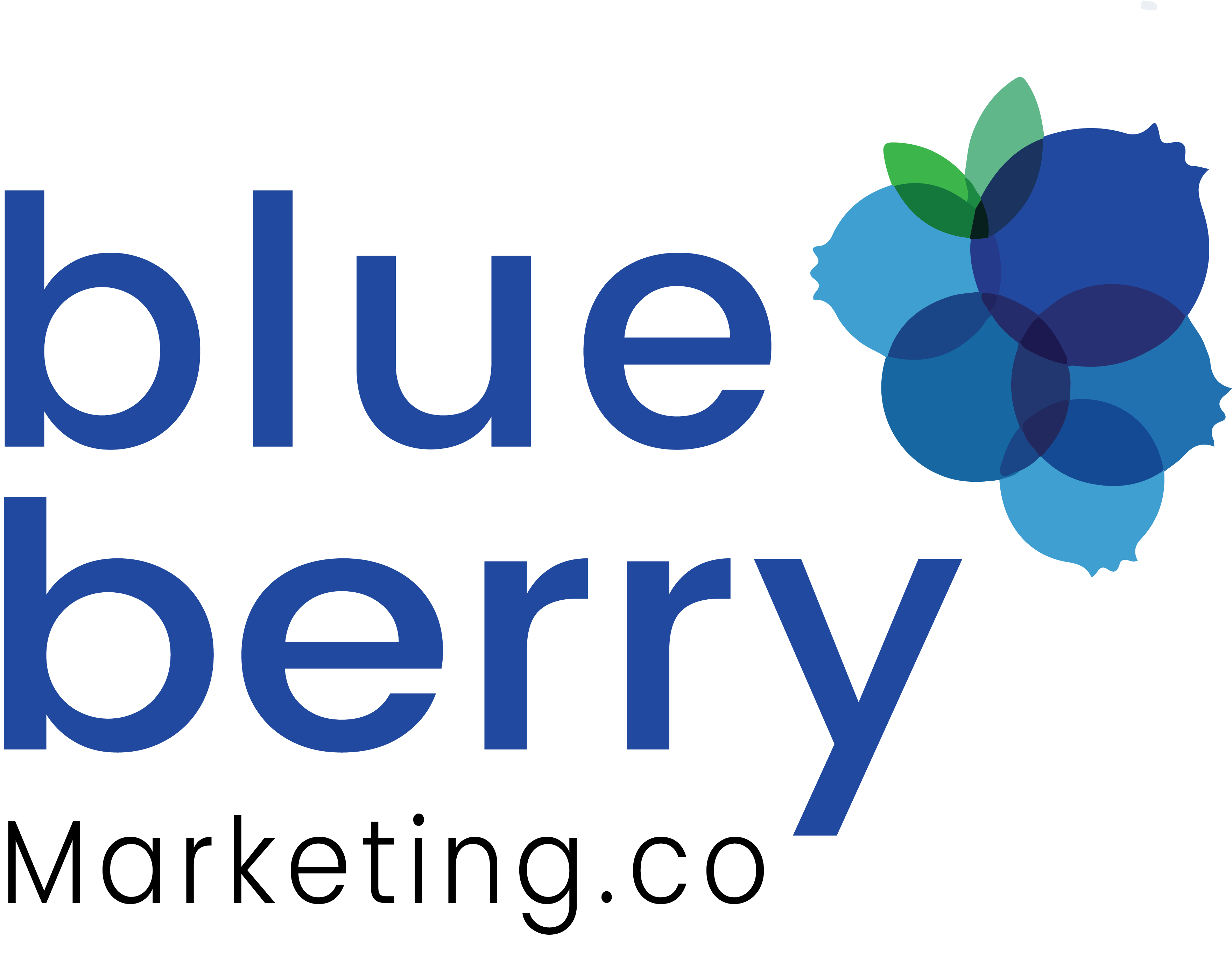 BlueBerry Marketing