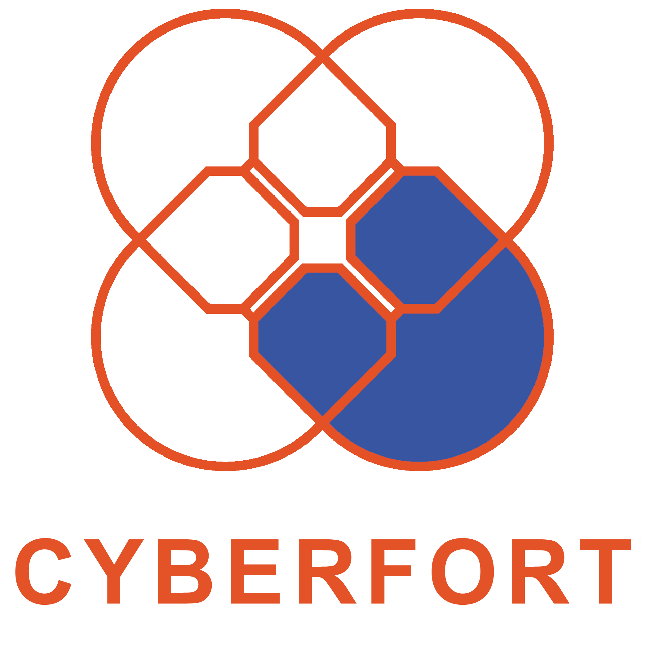 Cyberfort