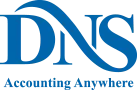dns accountants