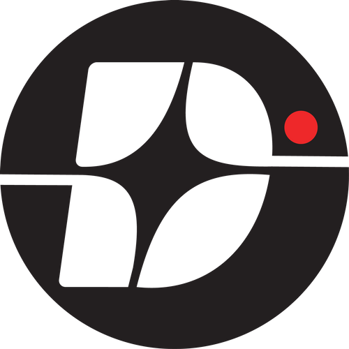 D.VISION