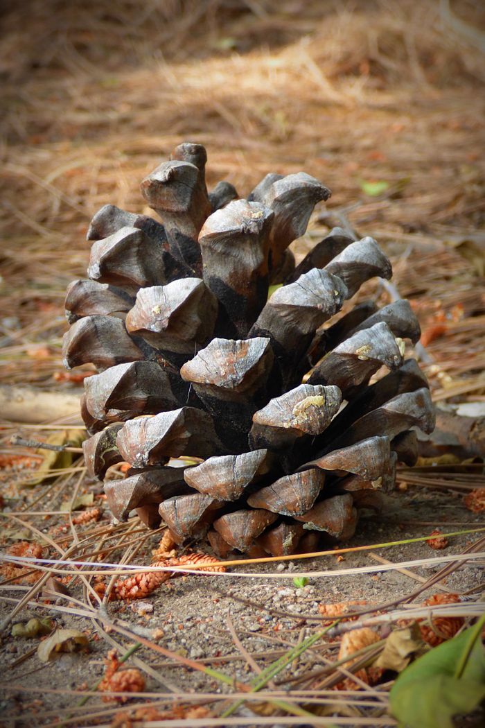 Competing Amid Global Fragmentation