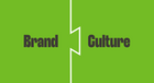 Brand & HR Audit
