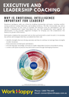 Executive & Emerging Leadership Coaching