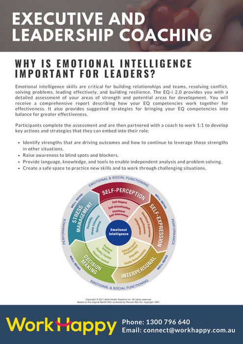 Executive & Emerging Leadership Coaching