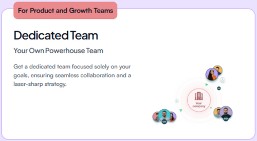 Dedicated Development Teams