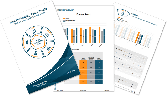 High Performing Team Profile (HPT)