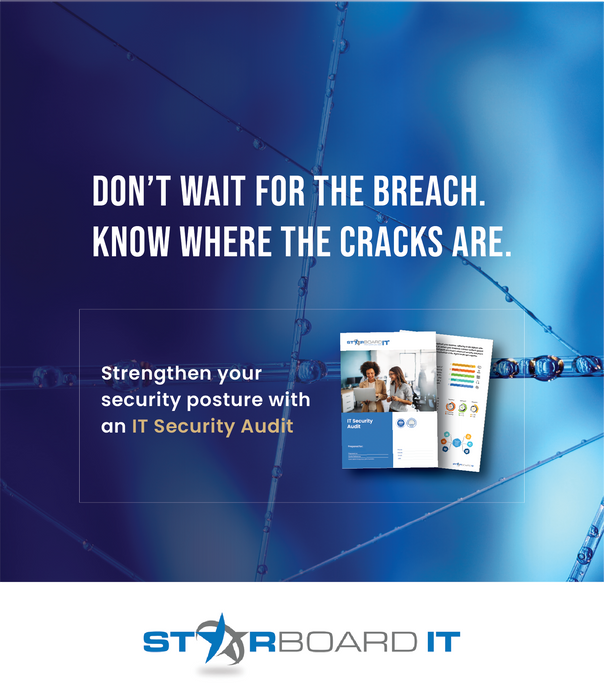 IT Security Audit