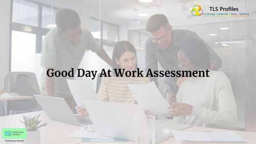 Good Day at Work Wellbeing Snapshot