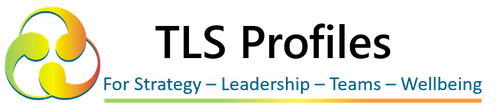 Team Leadership Services