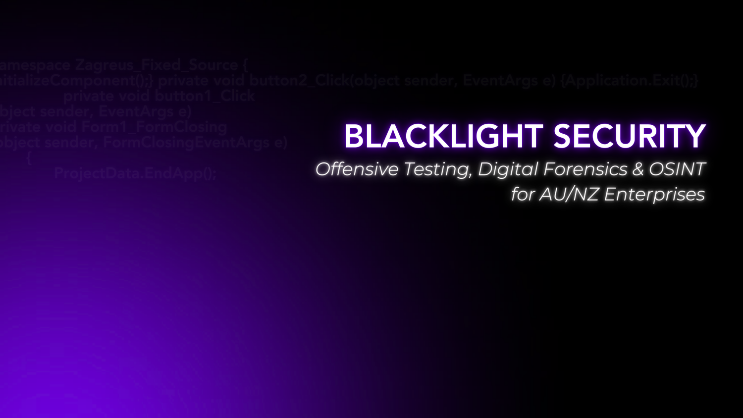 Blacklight Security
