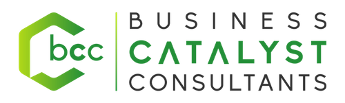 Business Catalyst Consultants
