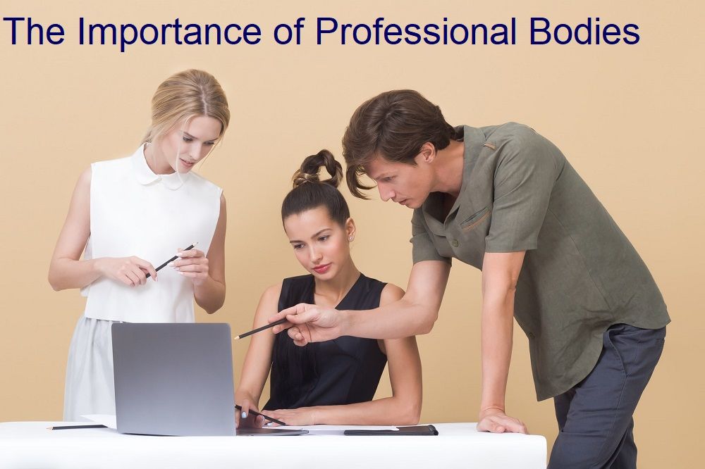 The Importance of Professional Bodies