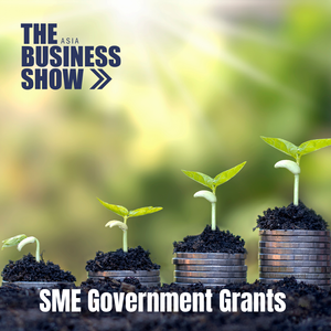 Hidden Funds for SMEs: Navigating Grants Like the Enterprise Development Grant & Adaptation Support
