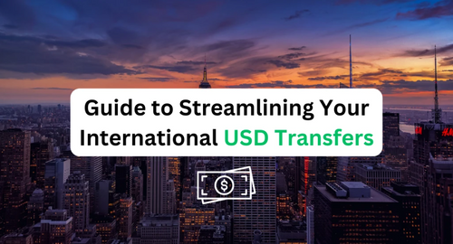 Guide to Streamlining Your International USD Transfers