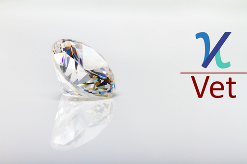 How Kappawise Vet Enhances KYC Checks for Precious Stones Companies