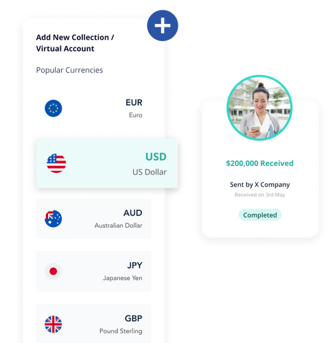 Collect 35 Currencies With Virtual Accounts