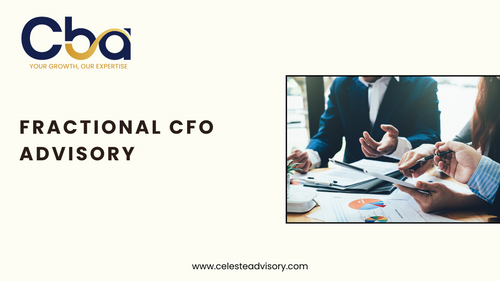 Fractional CFO Advisory
