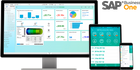 SAP Business One