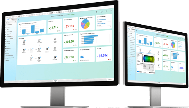 SAP Business One