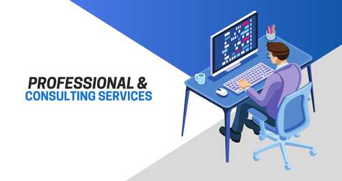 Professional & Consulting Services