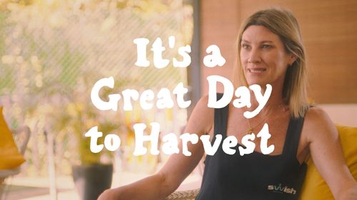 It's a Great Day to Harvest - Swish Swimming