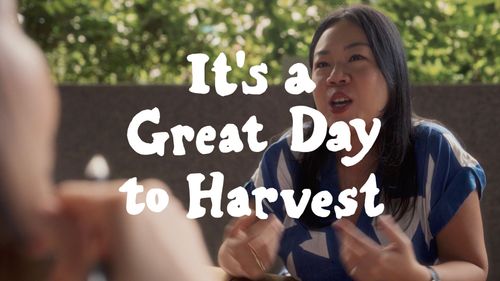 It's a Great Day to Harvest - bSIDE Agency