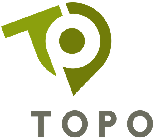 TOPO AI CONSULTING