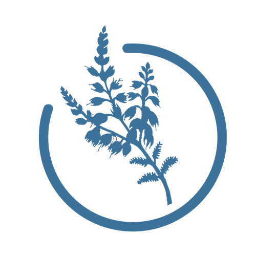 BOVITECH