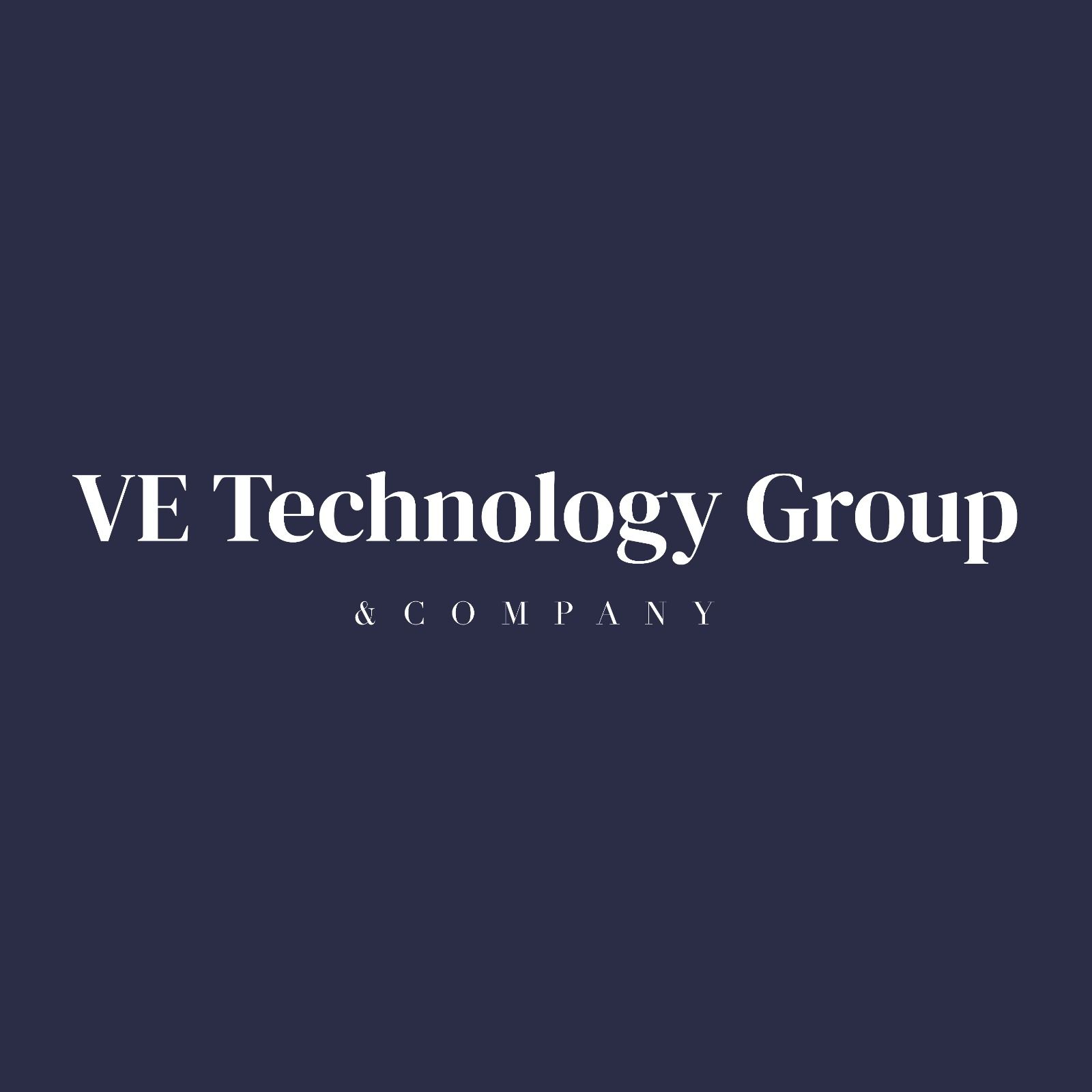 VE TECHNOLOGY GROUP