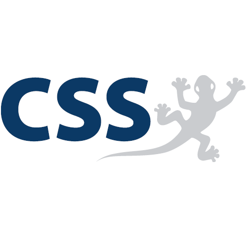 CSS AG - (eGECKO)