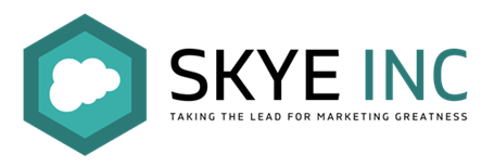 SKYE INC