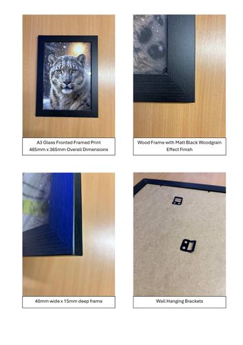Framed Images