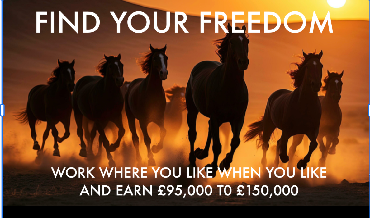 Website Design Partnership