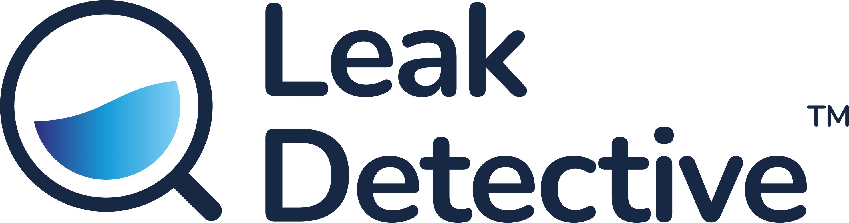 Leak Detective