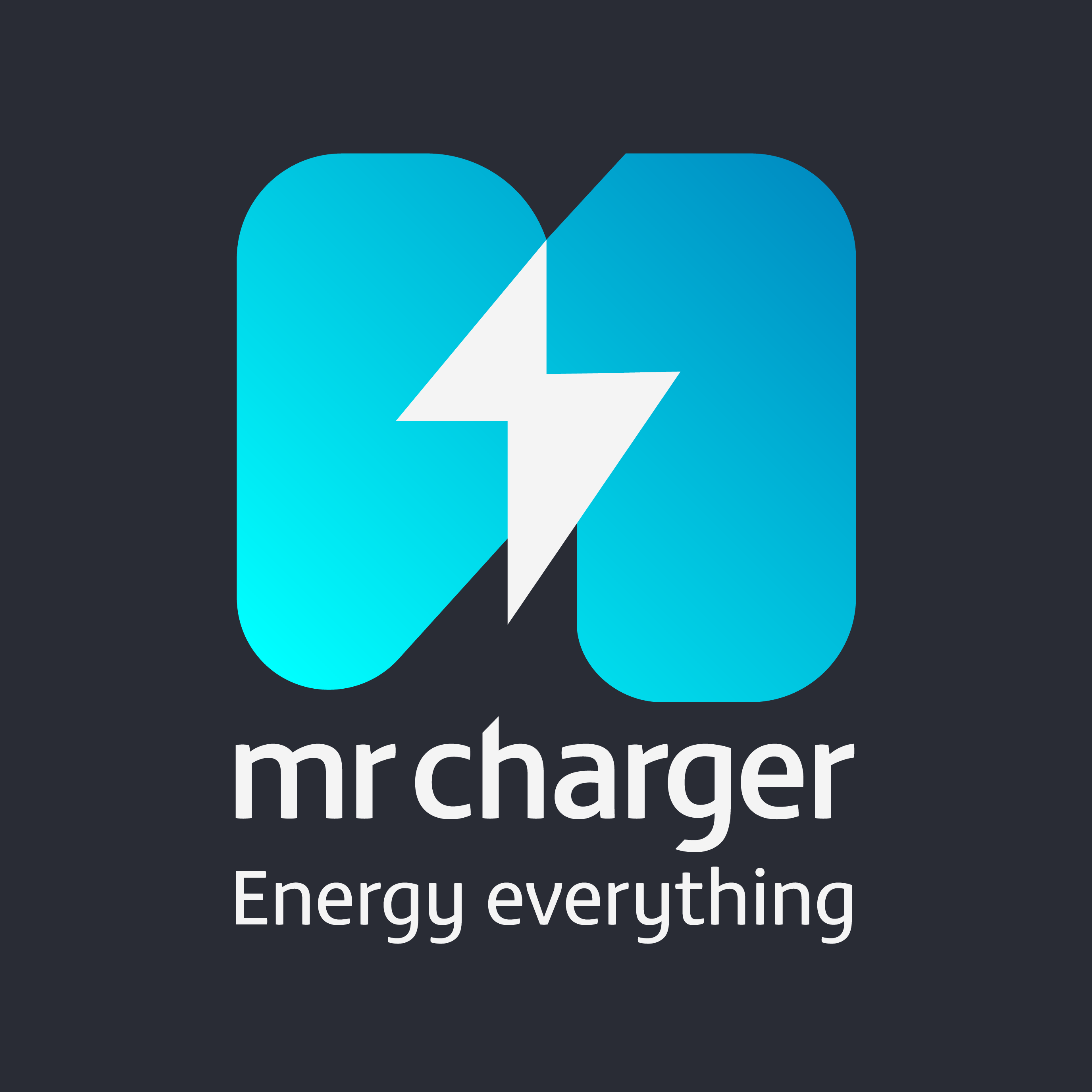 Mr Charger