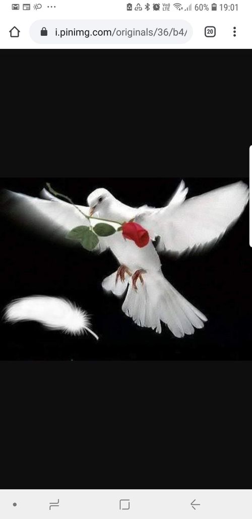 D&S Nationwide Funeral Service