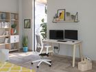 Professional Home Workspaces
