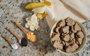 Elevate Your Brand with Human-Grade Dog Treats and Food