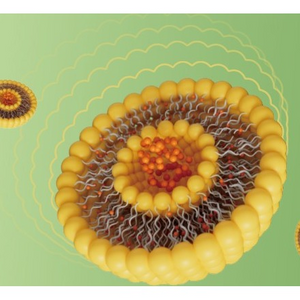 Durlipâ„¢ Liposomal Solution