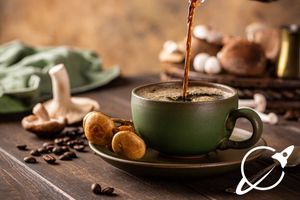 Nootropic and Adaptogen Powder Blends