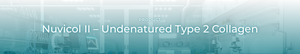 Undenatured/Native Type II Collagen