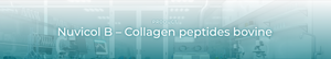 Nuvicol B – Collagen peptides bovine
