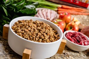 Wet Noses Human Grade Dog Food