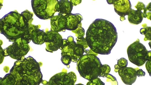 LiquaDry,Inc. Made in the USA